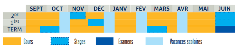 Périodes de stage